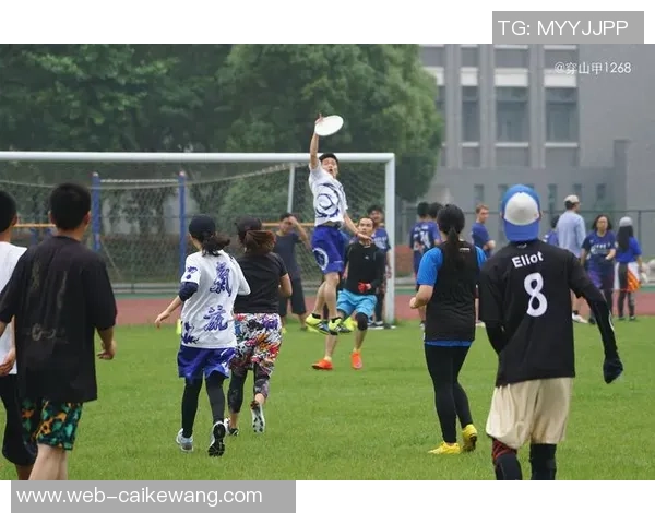 对话杨强：探索飞盘运动的魅力与挑战之旅